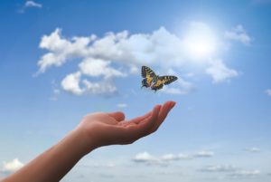 hand, butterfly, clouds